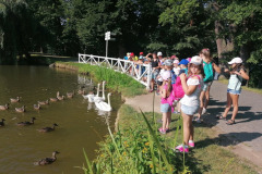 IMG_20220721_091712