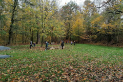 IMG_20221026_124807
