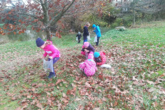 IMG_20191029_112727