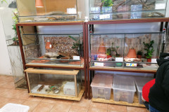 IMG_20200303_125518